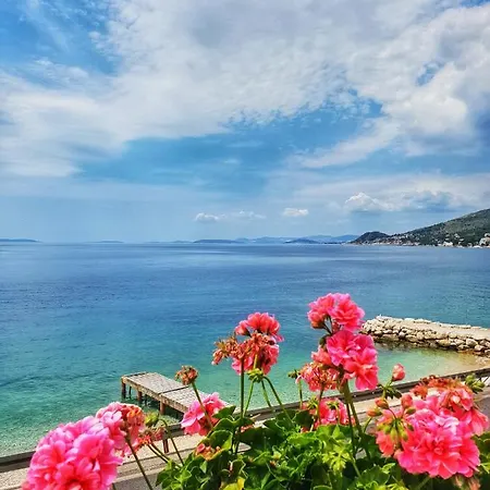 Sunshine Mali Rat-omis Sumpetar